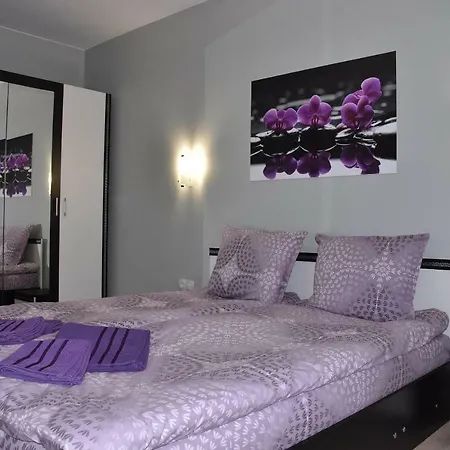 Daire Orchid