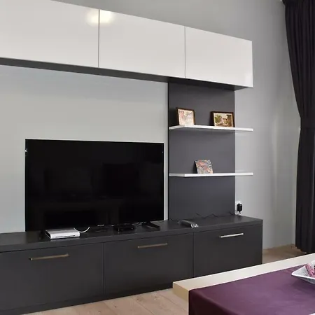 Orchid Daire *